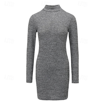 Ribbed Turtleneck Sweater Dress — Long Sleeve Winter 2